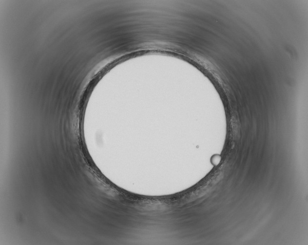 X0000112800931200910021117