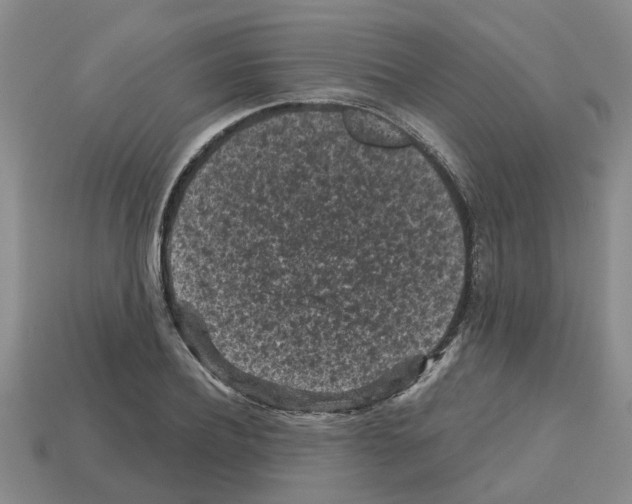 X0000112800932200910021117