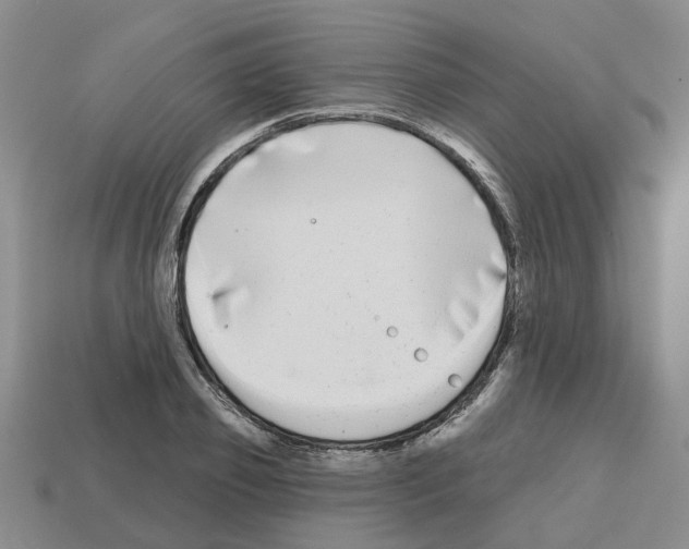 X0000112800933200910021117