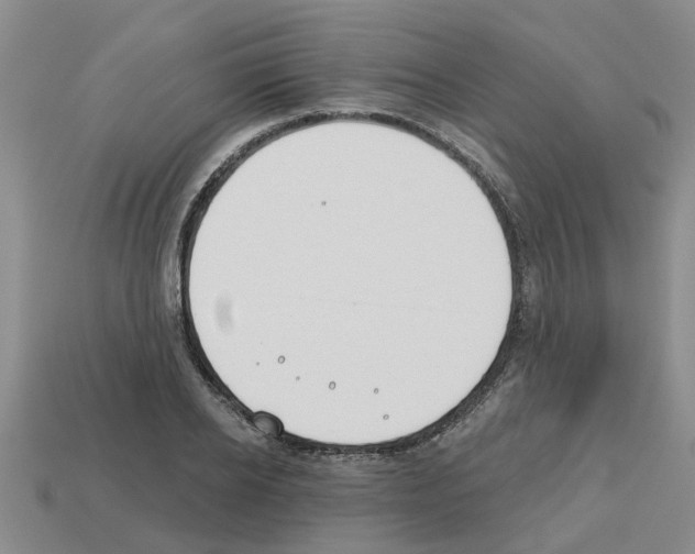 X0000112800934200910021117