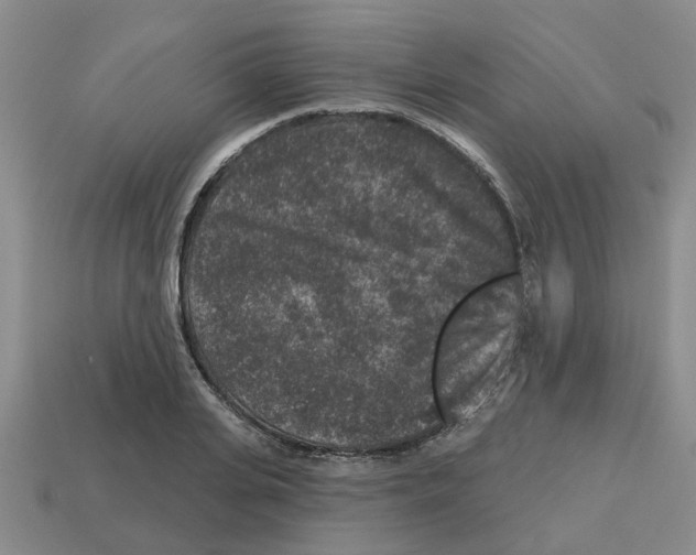 X0000112800935200910021117