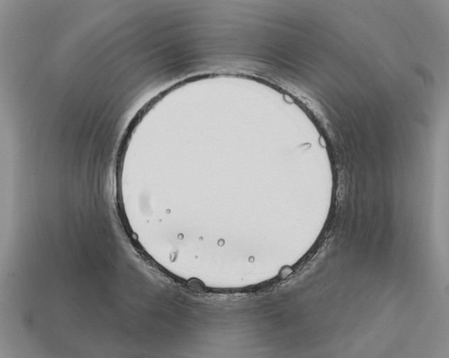 X0000112800936200910021117