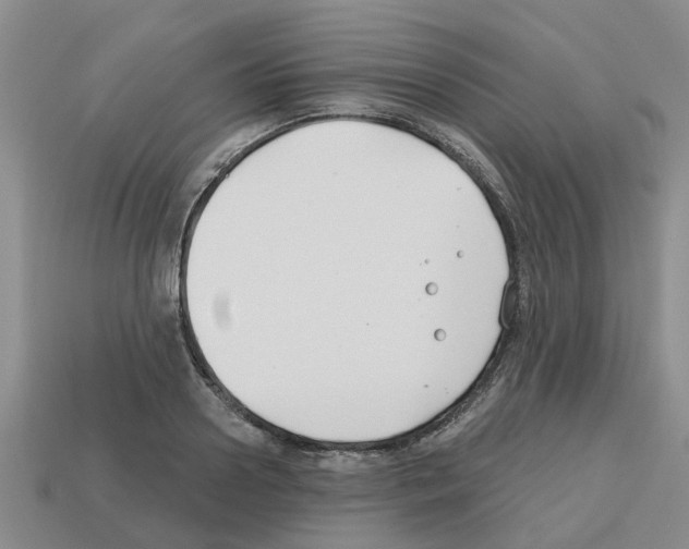 X0000112800938200910021117