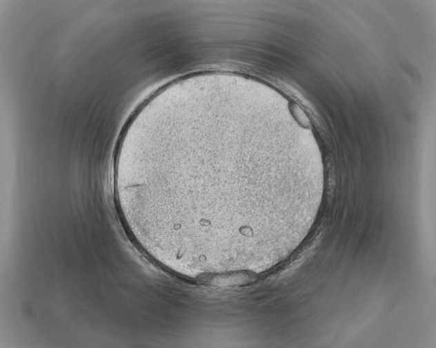 X0000112800940200910021117