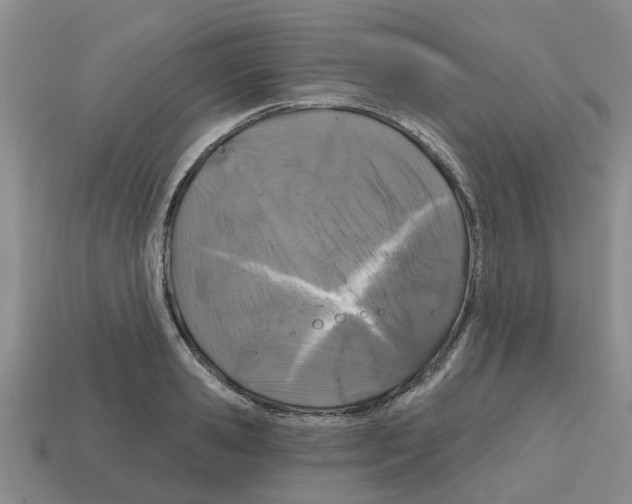 X0000112800941200910021117