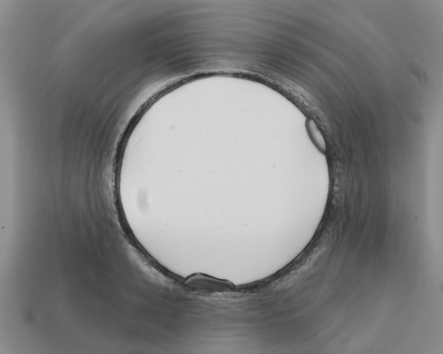 X0000112800942200910021117
