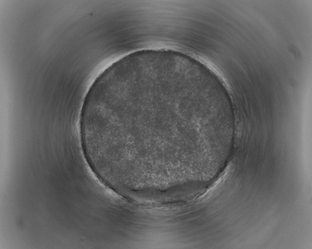 X0000112800943200910021117