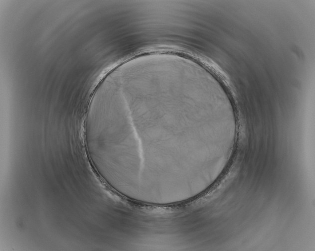 X0000112800945200910021117