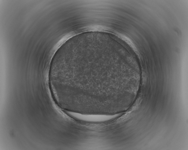 X0000112800946200910021117