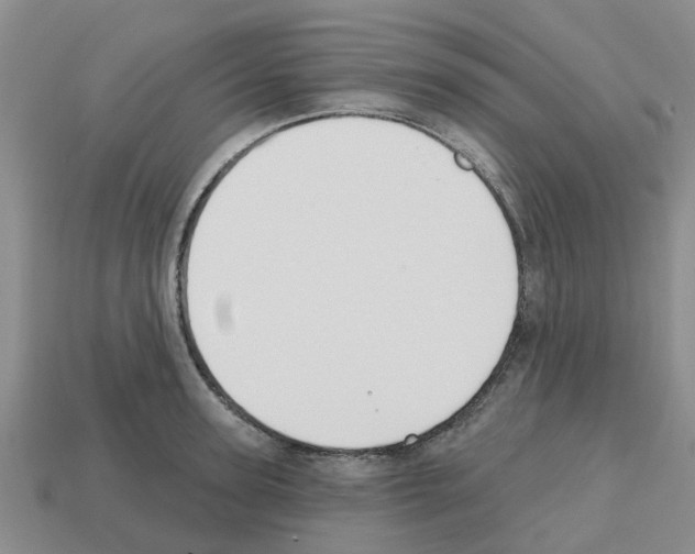 X0000112800947200910021117