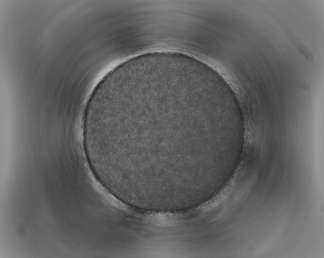 X0000112800950200910021117