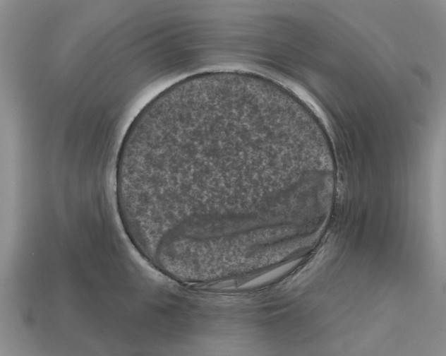 X0000112800951200910021117