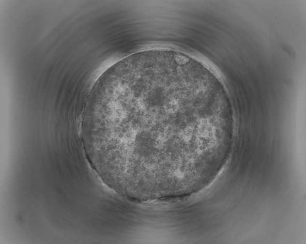 X0000112800953200910021117