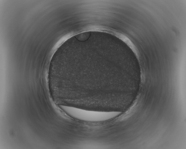 X0000112800954200910021117