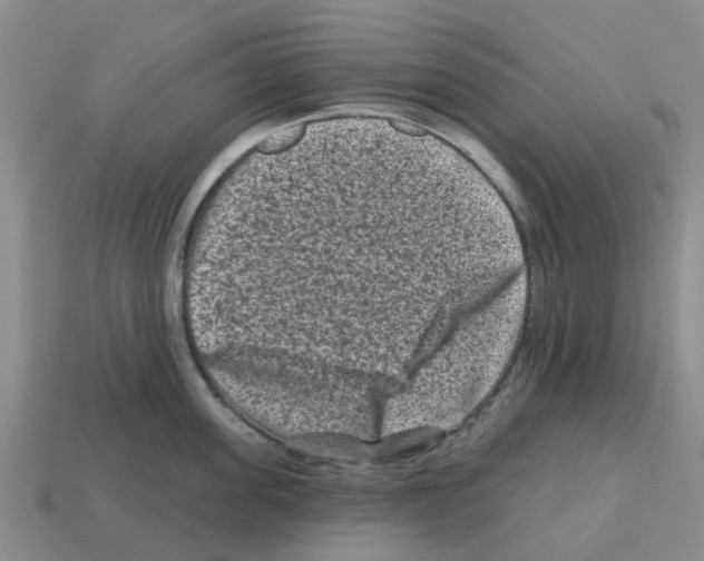 X0000112800955200910021117