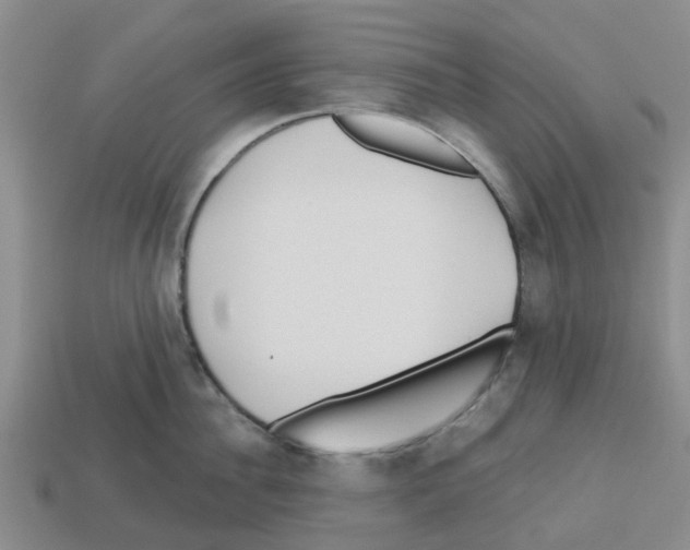 X0000112800956200910021117