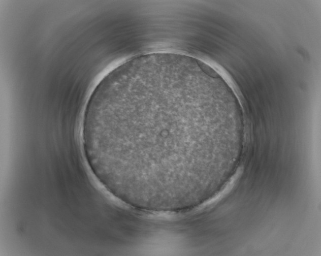 X0000112800957200910021117