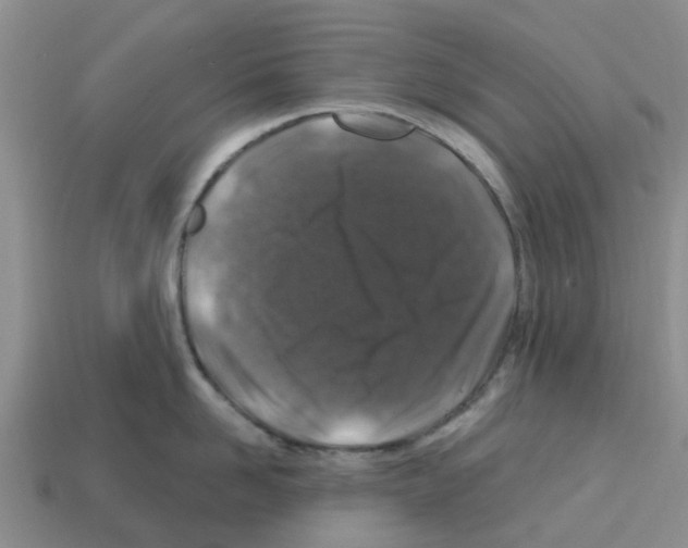 X0000112800958200910021117
