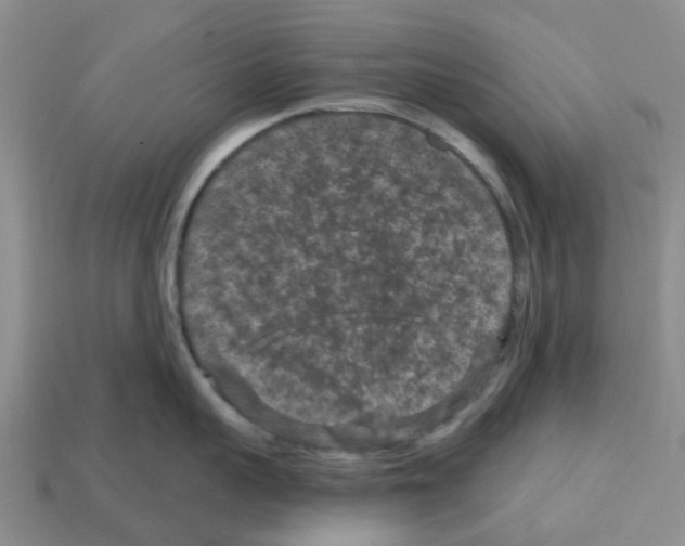 X0000112800959200910021117