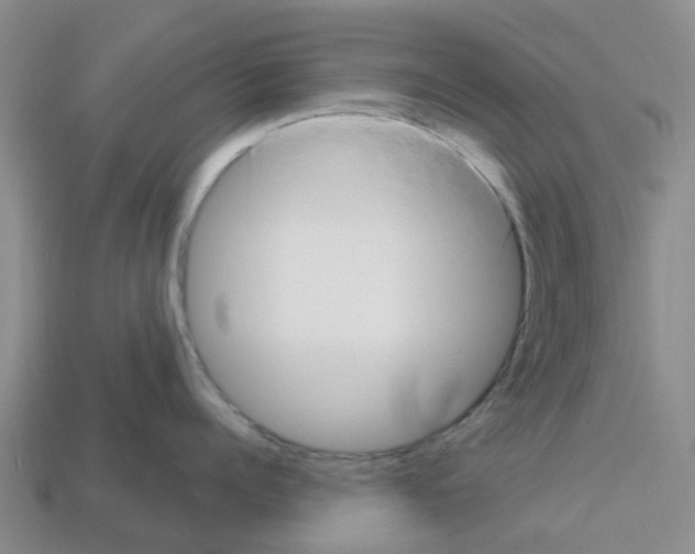 X0000112800960200910021117