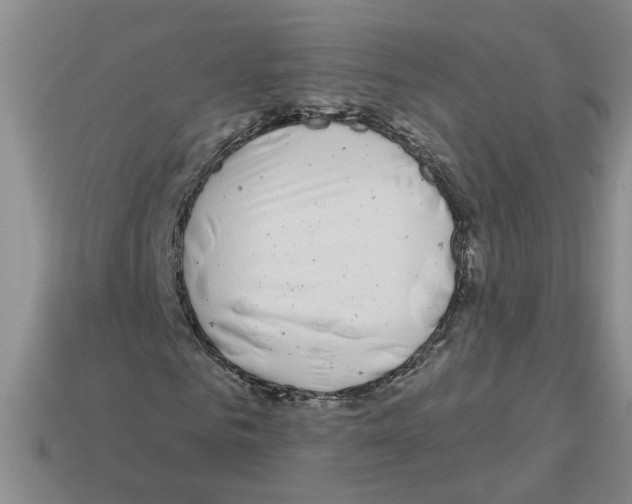 X0000112800961200910021117