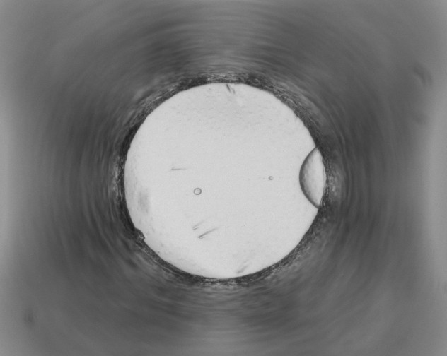 X0000112800964200910021117