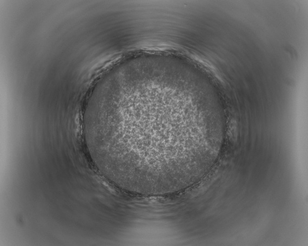X0000112800966200910021117