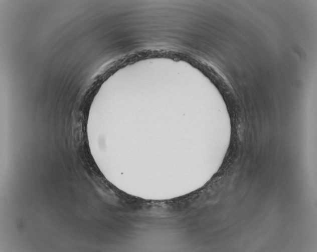 X0000112800968200910021117