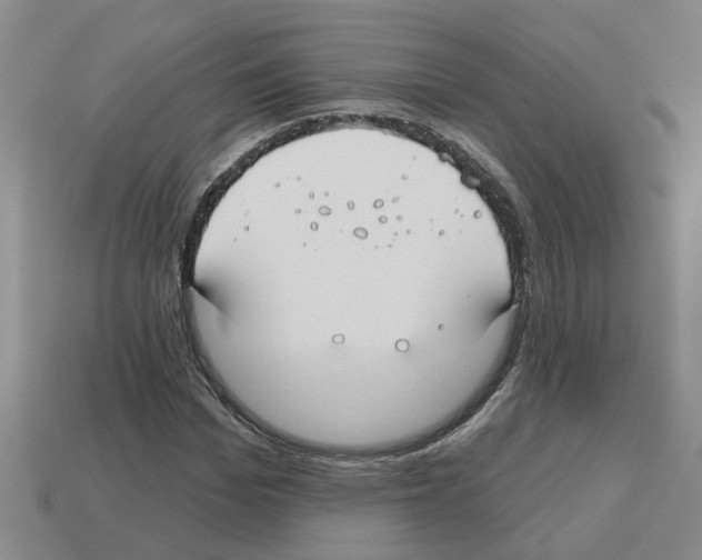 X0000112800969200910021117