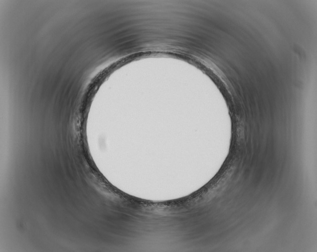 X0000112800971200910021117
