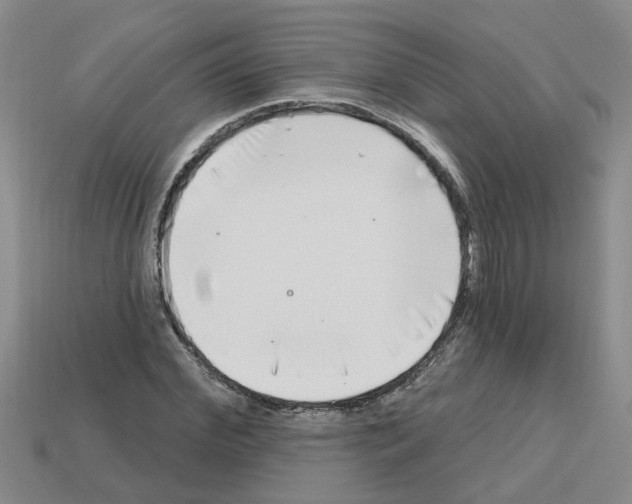 X0000112800972200910021117