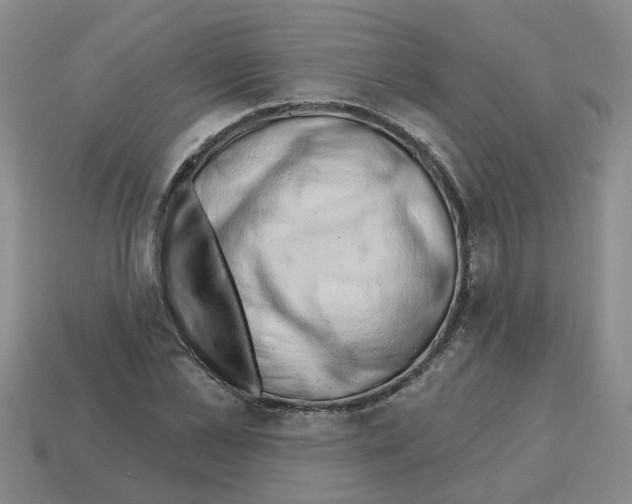 X0000112800973200910021117