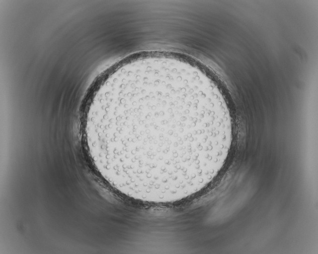 X0000112800974200910021117