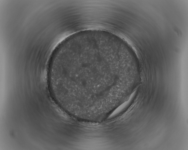 X0000112800975200910021117
