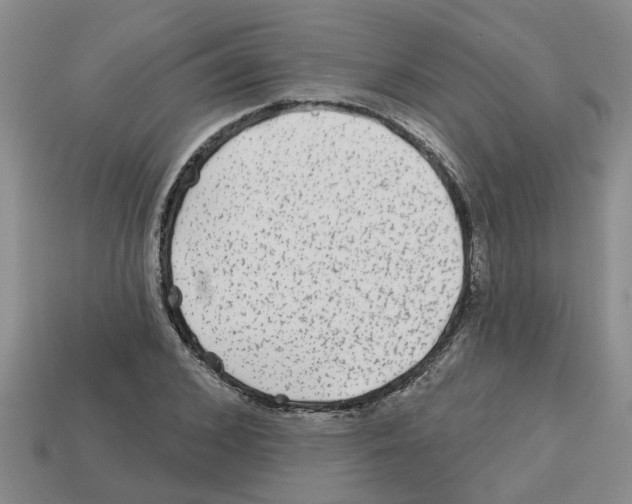 X0000112800976200910021117
