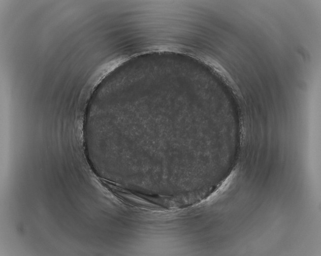 X0000112800977200910021117
