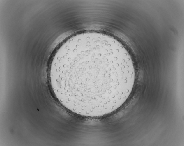 X0000112800978200910021117