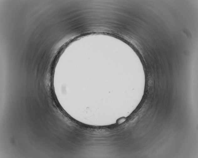 X0000112800979200910021117