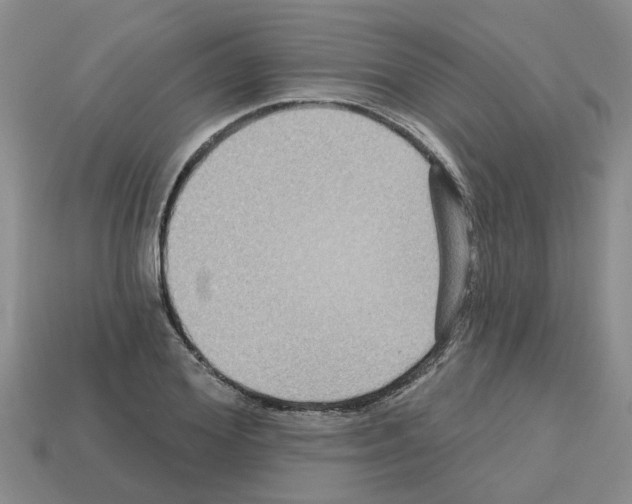 X0000112800980200910021117