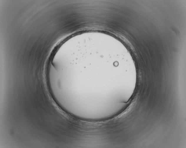 X0000112800981200910021117