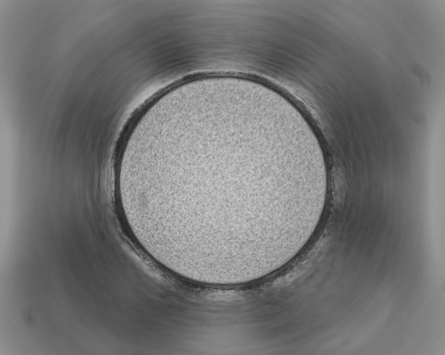 X0000112800982200910021116