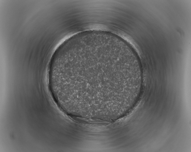 X0000112800983200910021116