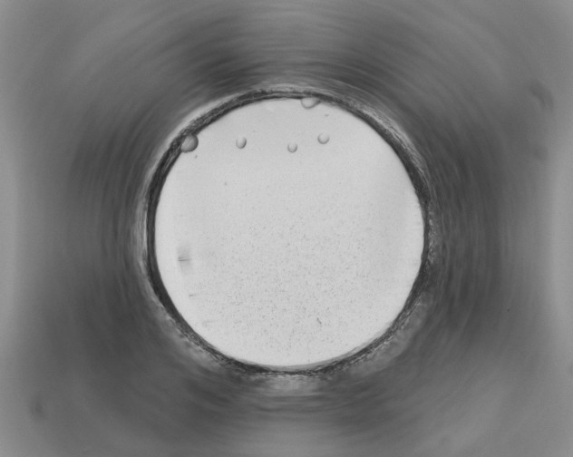 X0000112800984200910021116