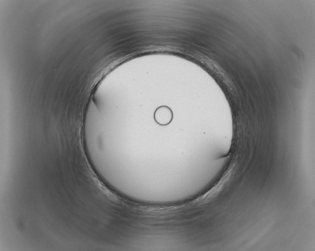 X0000112800985200910021116