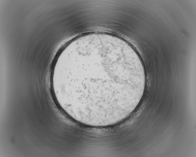 X0000112800987200910021116