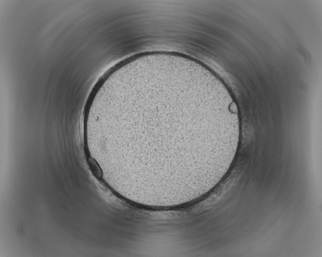 X0000112800988200910021116
