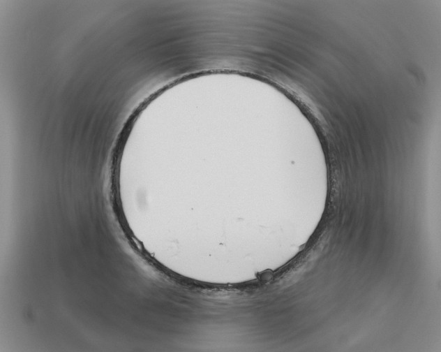 X0000112800991200910021116