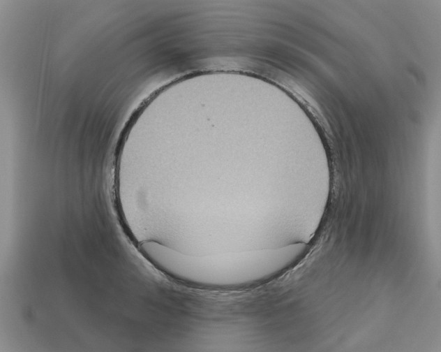 X0000112800992200910021116