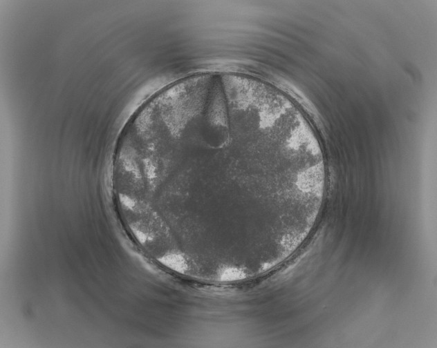 X0000112800994200910021116