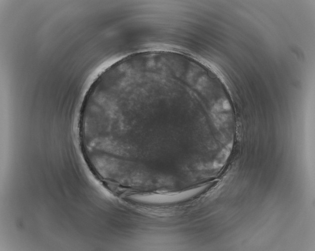 X0000112800995200910021116